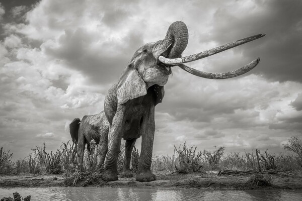 Travel Photographer of the Year 2019: Όλες οι φωτογραφίες που ξεχώρισαν, συζητήθηκαν και συγκίνησαν