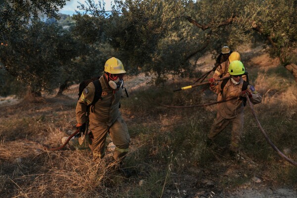 Πυρκαγιά στις Κεχριές: Δύσκολη μάχη με τις φλόγες - Εκκενώθηκαν 5 οικισμοί