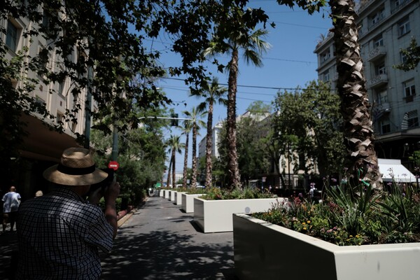 Φοίνικες στην Πανεπιστημίου - Για τον «Μεγάλο Περίπατο» της Αθήνας