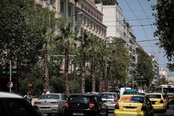 Φοίνικες στην Πανεπιστημίου - Για τον «Μεγάλο Περίπατο» της Αθήνας