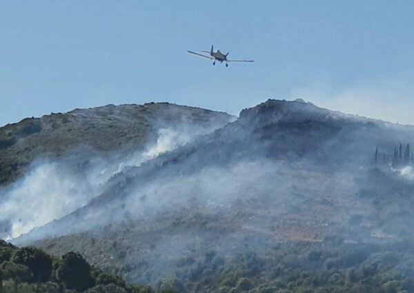 Ζάκυνθος: Μεγάλη φωτιά σε δασική έκταση - Κοντά σε διάσπαρτες κατοικίες