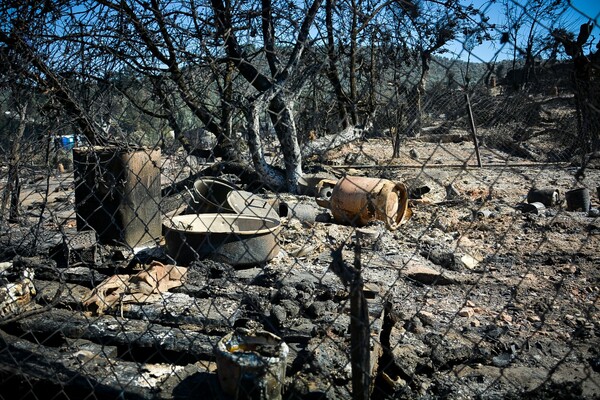 Υπάλληλοι υπηρεσίας υποδοχής και ταυτοποίησης για Μόρια: «Μπορούσε κανείς να το προβλέψει με μαθηματική ακρίβεια»