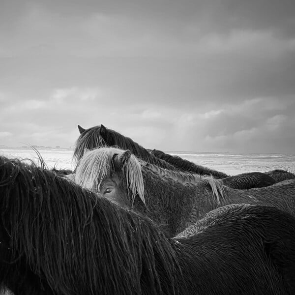 iPhone Photography Awards 2020: Οι μεγάλοι νικητές