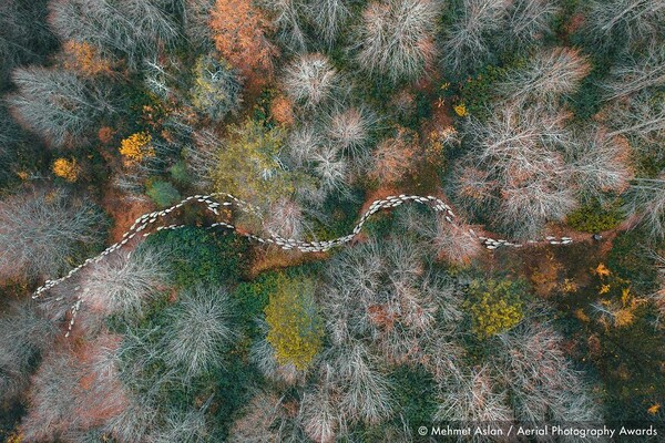 Aerial Photography Awards: Οι 23 αεροφωτογραφίες που κέρδισαν - Δύο από τη Σαντορίνη