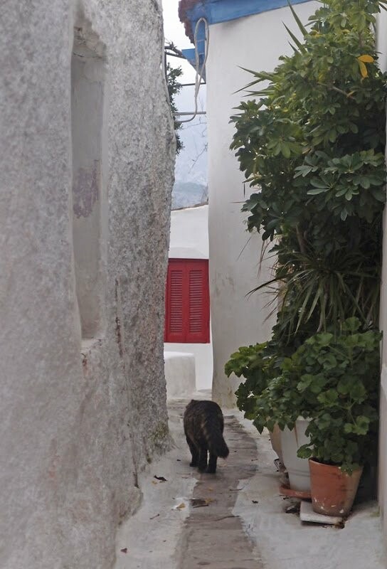 Ήσυχα στη βροχερή Πλάκα