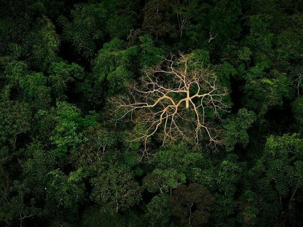 Οι καλύτερες φωτογραφίες του μήνα, από το National Geographic