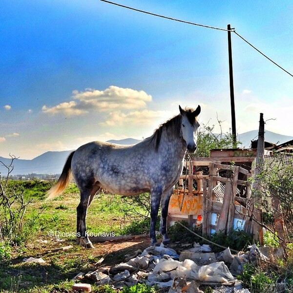 INSTA#LIFO: Παρασκευή 19 Απριλίου