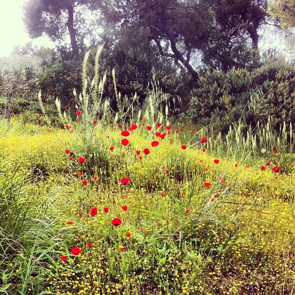 INSTA#LIFO: Τετάρτη 3 Απριλίου 