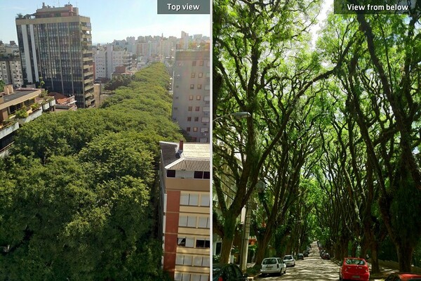 Αυτός είναι ίσως ο ομορφότερος δρόμος στον κόσμο