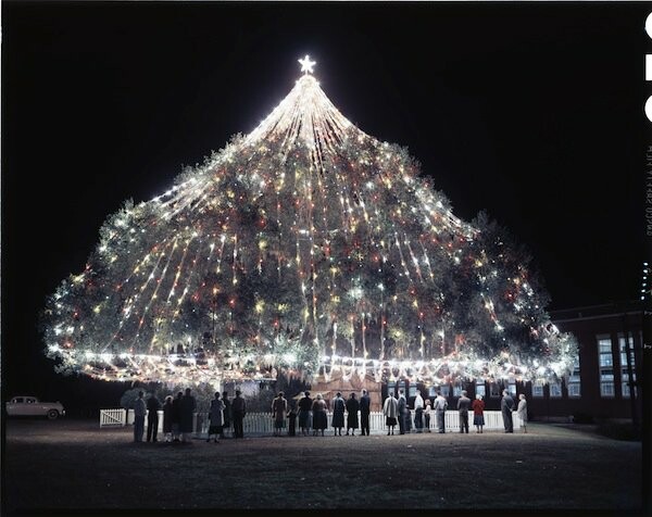 Rocking around the Christmas tree