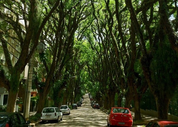 Αυτός είναι ίσως ο ομορφότερος δρόμος στον κόσμο