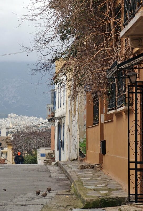 Ήσυχα στη βροχερή Πλάκα