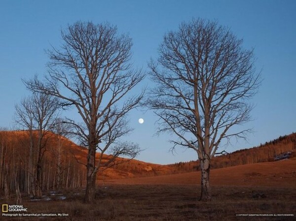 Οι καλύτερες φωτογραφίες του μήνα, από το National Geographic