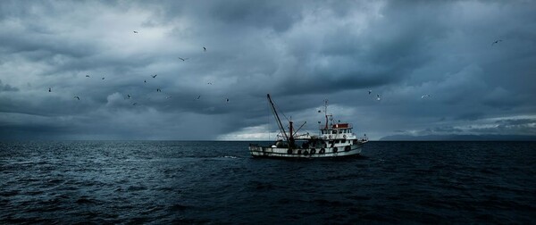 «Fisherman's Blues»: Όταν οι ψαράδες μελαγχολούν