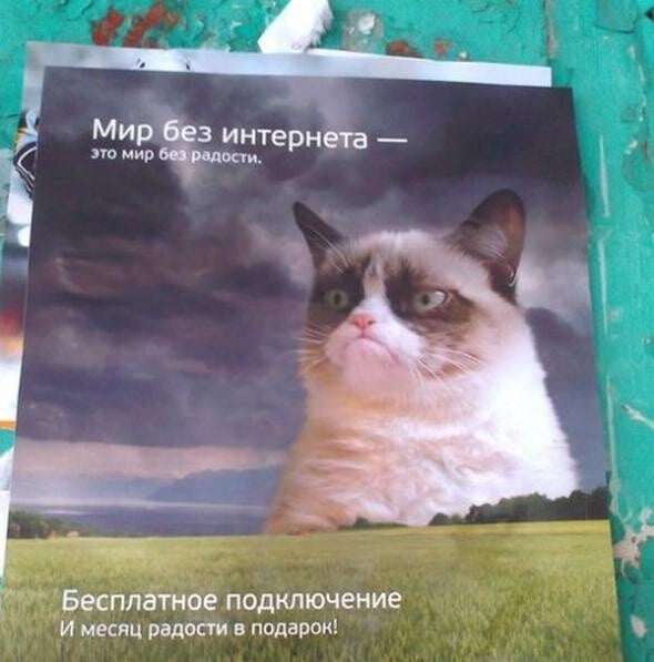 Η πρώτη διαφήμιση με τη διάσημη Grumpy Cat