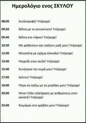 To ημερολόγιο ενός σκύλου. | Και το ημερολόγιο μιας γάτας.