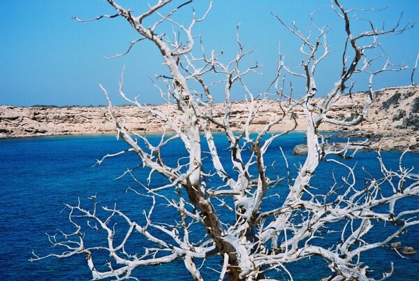 ΚΑΜΕΝΗ ΓΗ