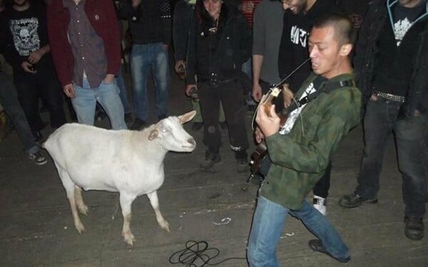 Μια νεκρολογία για την Biquette, την πιο punk rock κατσίκα που έζησε ποτέ