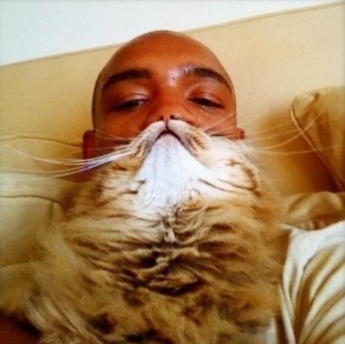 Τα πιο επικά cat beards όλων των εποχών