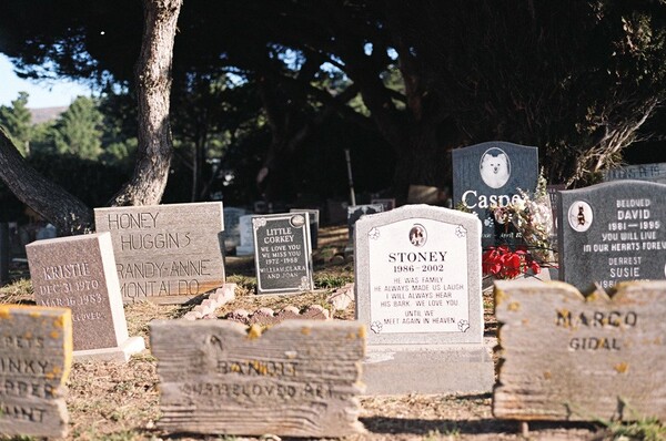 Colma: Η Necropolis της Αμερικής.