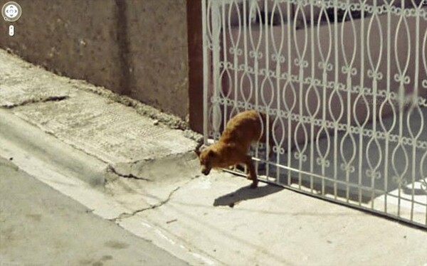 Οι 30 πιο παράξενες φωτογραφίες από το Google Street View.