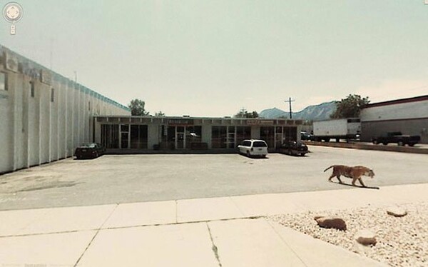 Οι 30 πιο παράξενες φωτογραφίες από το Google Street View.