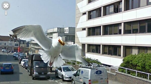 Οι 30 πιο παράξενες φωτογραφίες από το Google Street View.