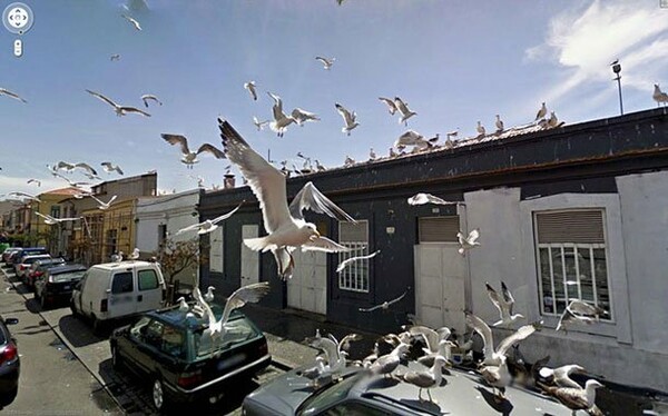 Οι 30 πιο παράξενες φωτογραφίες από το Google Street View.