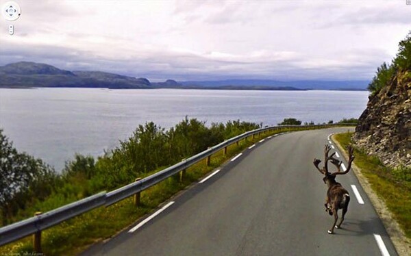 Οι 30 πιο παράξενες φωτογραφίες από το Google Street View.