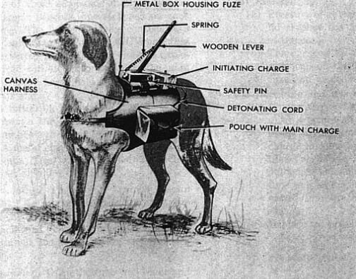 Οι σκύλοι καμικάζι του Β' Παγκοσμίου Πολέμου