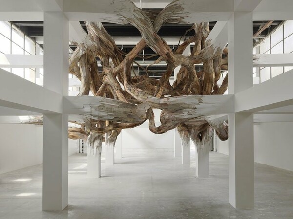 "Baitagogo" στο Palais De Tokyo