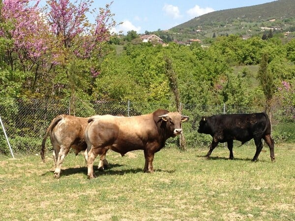 Με ένα κλικ παραγγέλνεις τα καλύτερα!