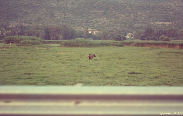 Roadtrip Καλαμάτα - Αθήνα