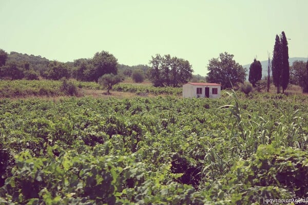 Roadtrip Καλαμάτα - Αθήνα