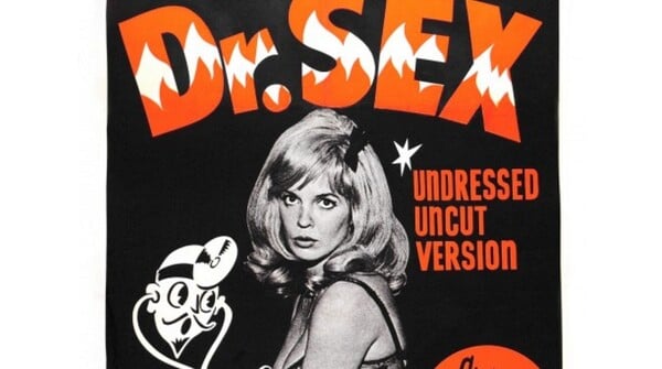 30 Sexploitation Film Posters