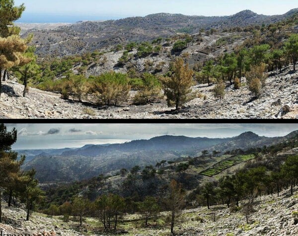 Χίος, 8 μήνες μετά τη φωτιά, μία (φωτο)περιπλάνηση