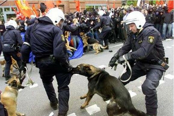 28 φωτογραφίες που μοιράστηκαν φρενιτιωδώς