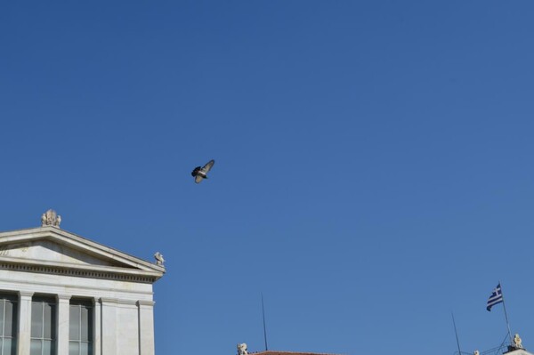 Τις προάλλες η Κατερίνα Λουκά περπάτησε στο κέντρο της Αθήνας και τράβηξε φωτογραφίες