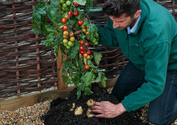 Tomtatoe! Πατάτες και ντομάτες μαζί