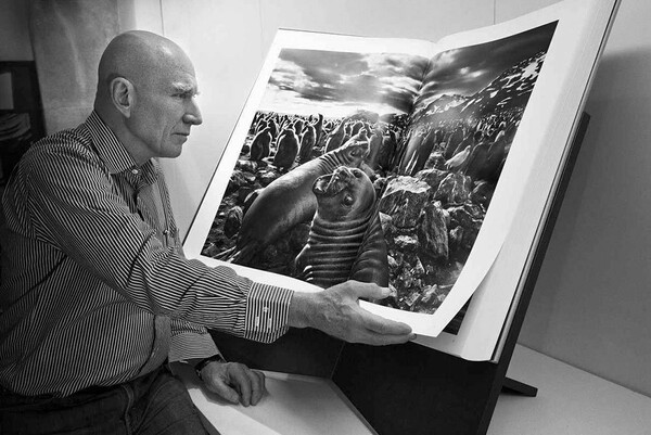 Genesis. Sebastião Salgado