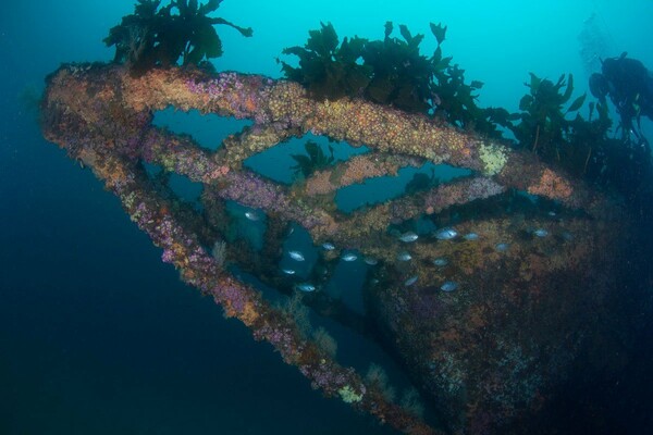 Η ανατίναξη του Rainbow Warrior Ι.