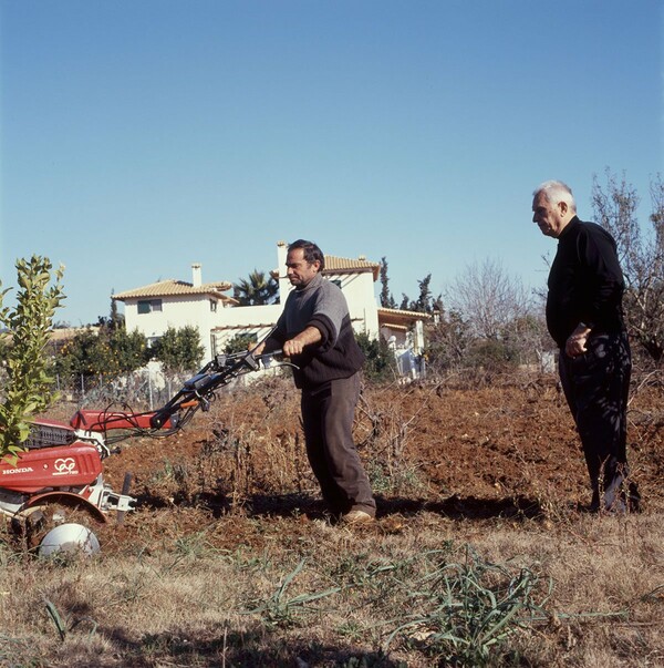 Νίκος Ξανθόπουλος