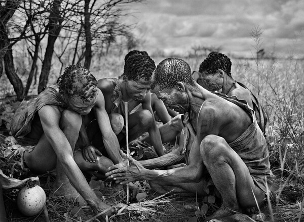 Genesis. Sebastião Salgado