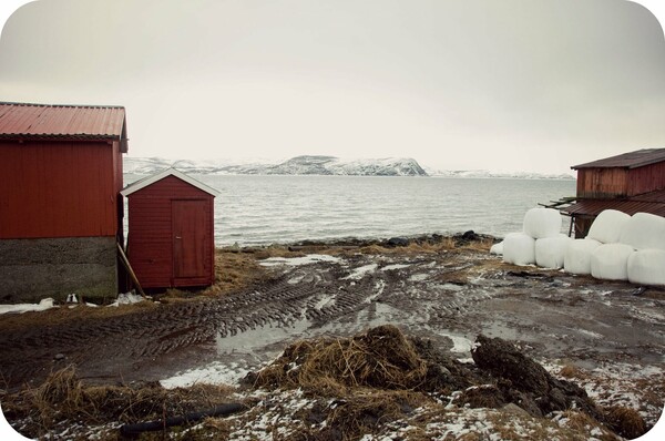 Postcards from my daily Norway. Λίλα Ζώτου.