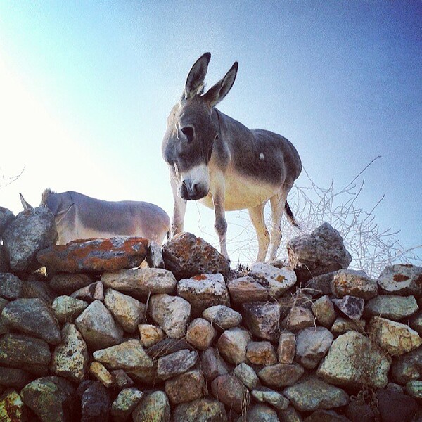 INSTA#LIFO: Τρίτη 22 Απριλίου