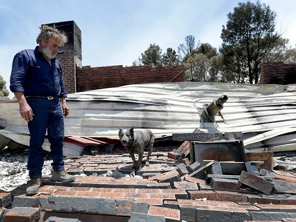 Κάποιοι άνθρωποι προσπάθησαν να βοηθήσουν και τα ζώα στην φλεγόμενη Αυστραλία