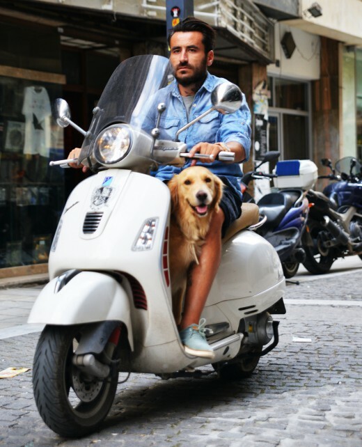 Τα 32 δημοφιλέστερα άρθρα που δημοσιεύτηκαν φέτος στο LIFO.gr