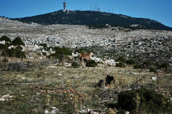  Επίσκεψη στο εγκαταλελειμμένο Σανατόριο της Πάρνηθας