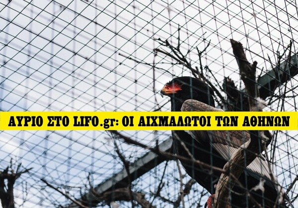 Aύριο στο LIFO.gr: Oι αιχμάλωτοι των Αθηνών