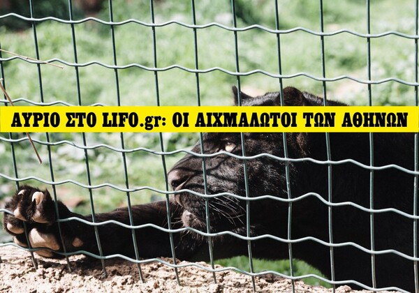 Aύριο στο LIFO.gr: Oι αιχμάλωτοι των Αθηνών